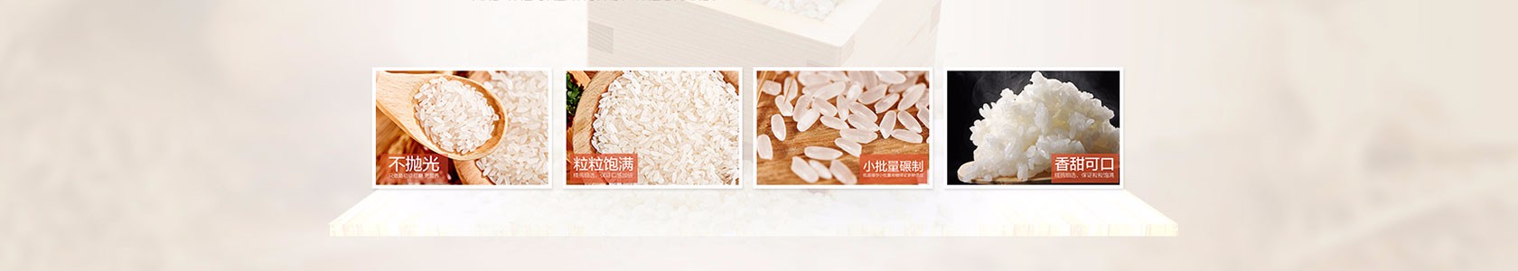 莆田市东盛软件有限公司